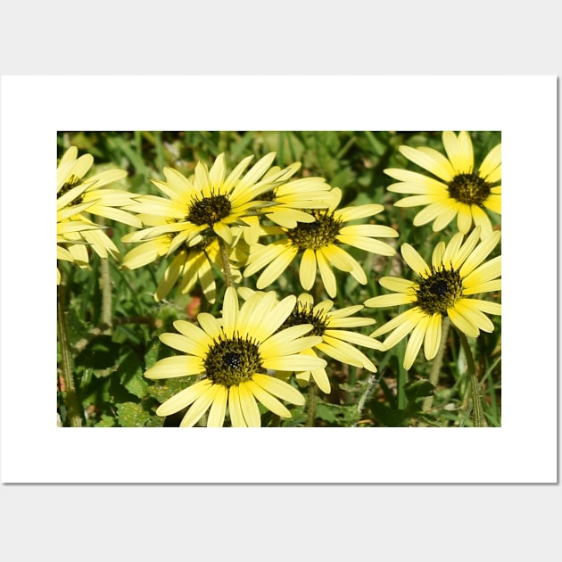 Yellow Daisy Flowers Wall Art by BiscuitSnack